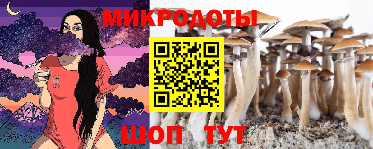 Ливны  Галлюциногенные грибы мухоморы  Вход с VPN 