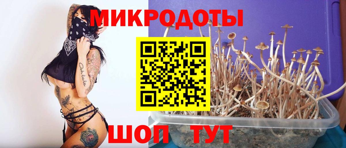 Псилоцибиновые грибы ЛСД Ливны